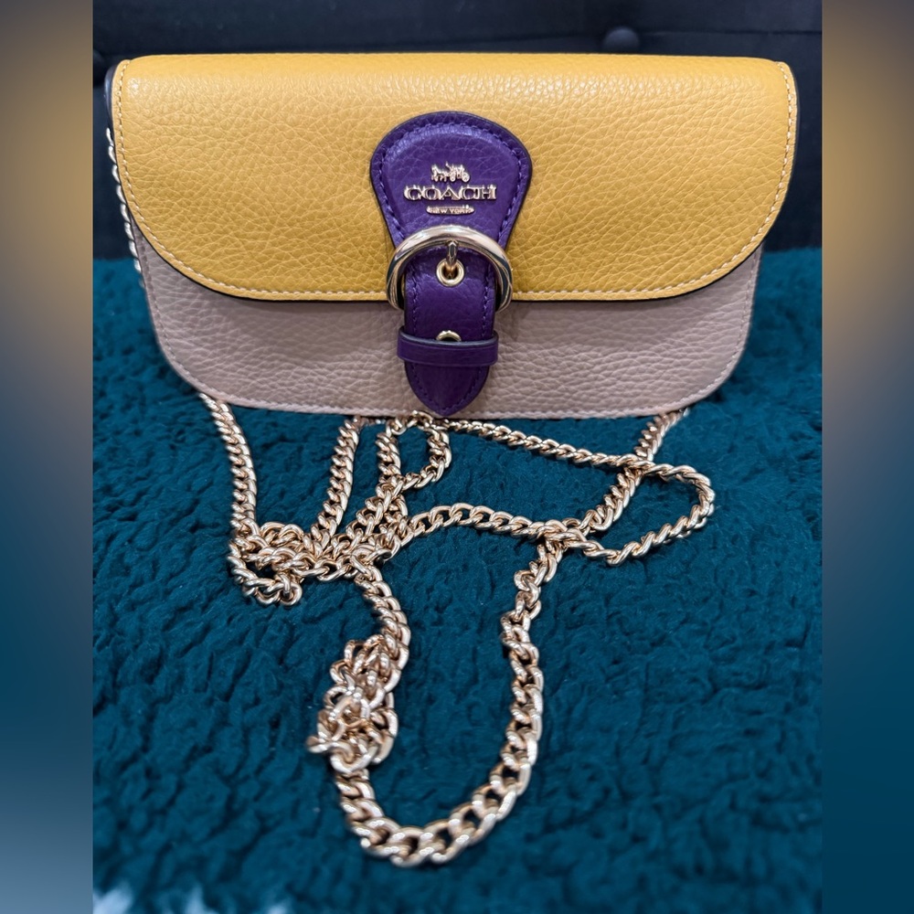Coach Womens Kleo Crossbody In Leather